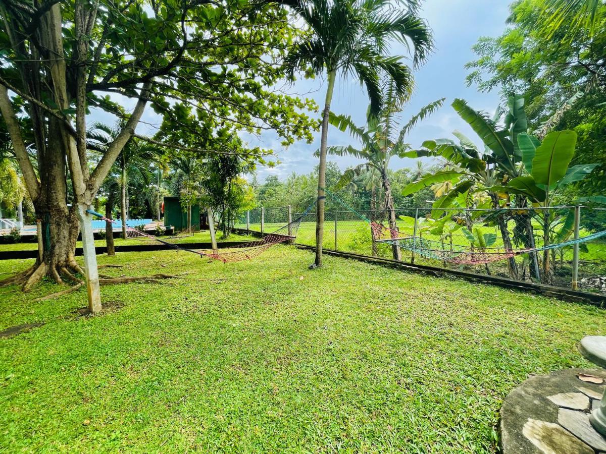 Tishan Holiday Resort بولاناروفاي المظهر الخارجي الصورة