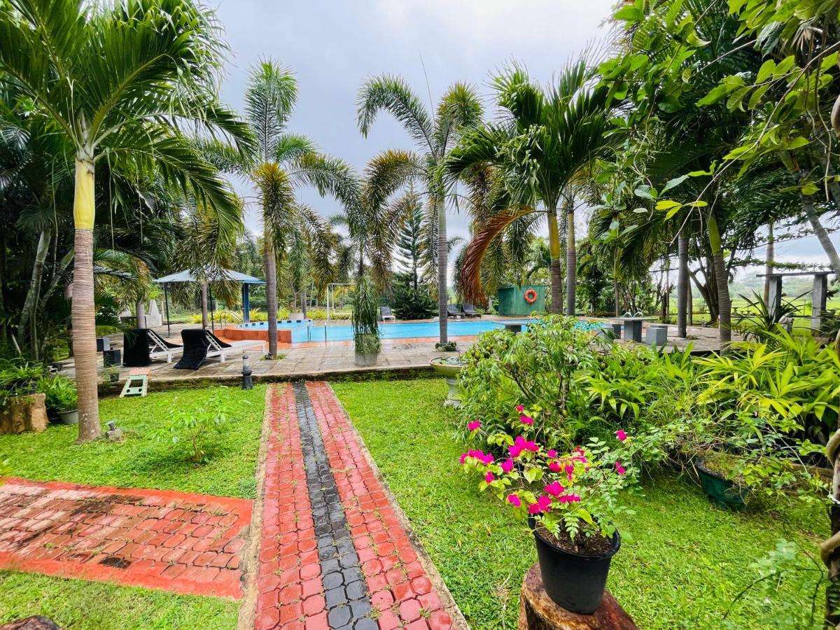Tishan Holiday Resort بولاناروفاي المظهر الخارجي الصورة